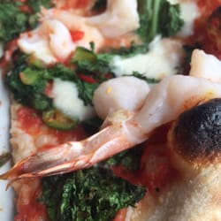 DOC Pizza & Mozzarella Bar