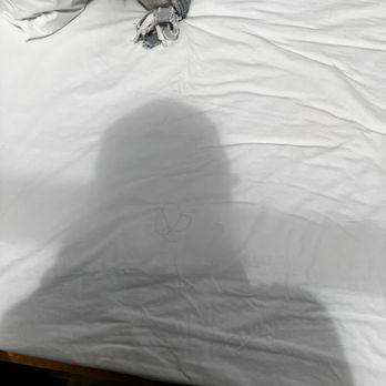 Backland - hair in the bed - Resorts Near Me - Williams, Arizona