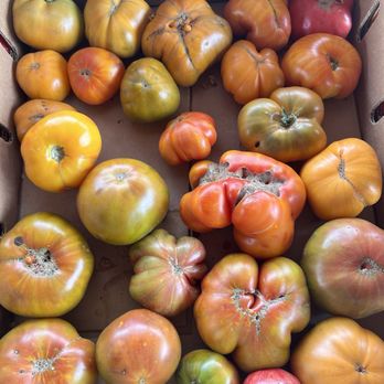 The Patch - Heirlooms - Farmers Market Near Me - Sonoma, California The Patch - Heirlooms - Farmers Market Near Me - Sonoma, California