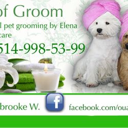 Toilettage Ouaf Woof Groom