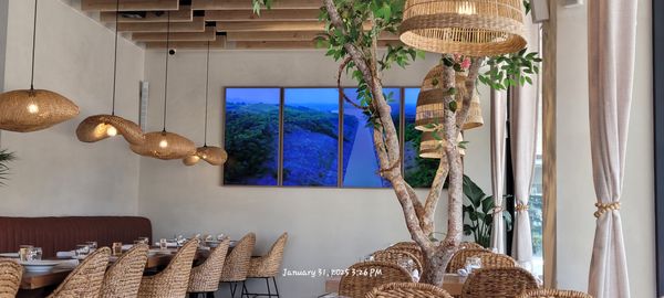 Mi Tierra Bar & Kitchen by null