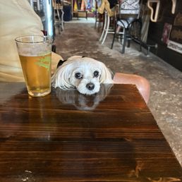 Pet friendly makes it enjoyable for your fur buddies.