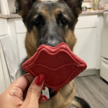 Pet Supplies Plus - Smooch pooch - Pet Stores Near Me - Sugar Land, Texas Pet Supplies Plus - Smooch pooch - Pet Stores Near Me - Sugar Land, Texas