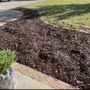 Passionate lawn care