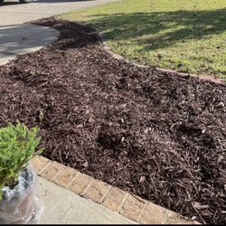 Passionate lawn care - Mulch not leveled, landscaping paper showing, mulch outside of bed.