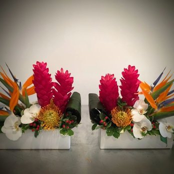 Grace Lake's Florist - Plant Arrangements - Florists Near Me - Naples, Florida Grace Lake's Florist - Plant Arrangements - Florists Near Me - Naples, Florida