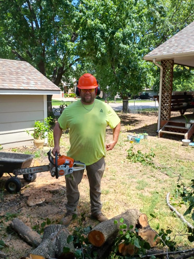 Hamm Tree Service - tree service in Wichita, KS