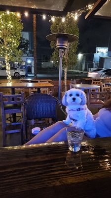 Northside Tavern by null