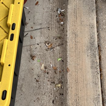 Extra Space Storage - Infested! - Self Storage Near Me - Dallas, Texas Extra Space Storage - Infested! - Self Storage Near Me - Dallas, Texas