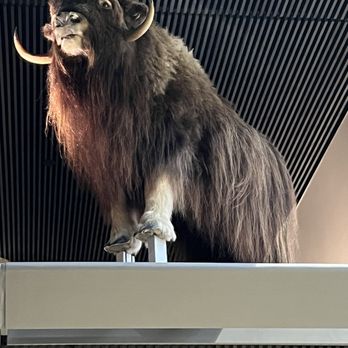 Alaska State Museum - Art Museums Near Me - Juneau, Alaska