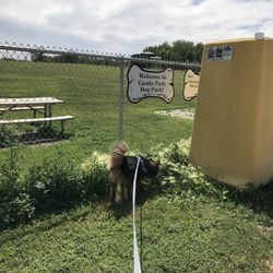 castle park dog park
