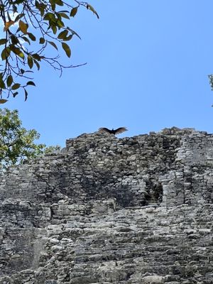 Zona arqueológica de Coba by null