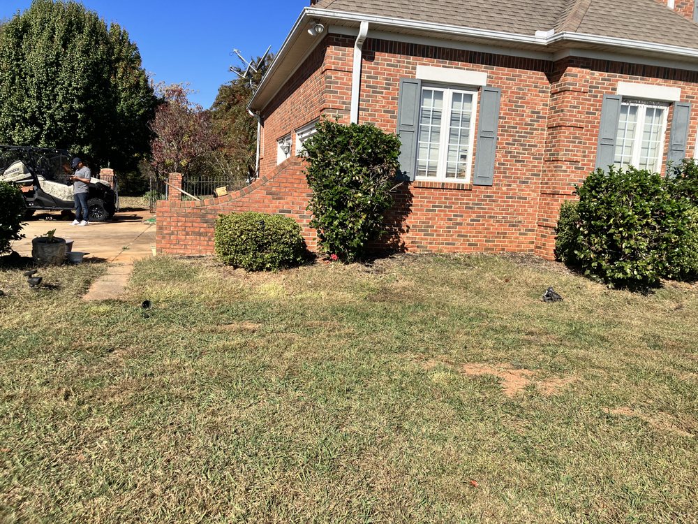 Slide of That guy landscaping