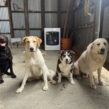 Red Bluff Veterinary Clinic - Veterinarians Near Me - Red Bluff, California