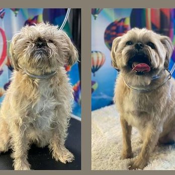 Sunny Days Mobile Grooming - Pet Groomers Near Me Sunny Days Mobile Grooming - Pet Groomers Near Me