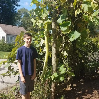 Toledo Botanical Garden - Jack and his bean - Botanical Gardens Near Me - Toledo, Ohio Toledo Botanical Garden - Jack and his bean - Botanical Gardens Near Me - Toledo, Ohio