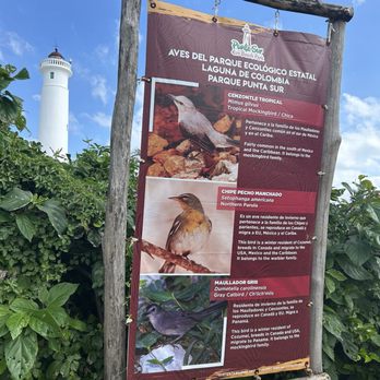 ECO PARK PUNTA SUR - Updated February 2026 - 78 Photos & 21 Reviews ...