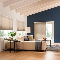 The Blind Man - Light Filtering Cellular Shades - The Blind Man TN