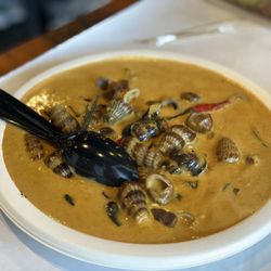 Coconut sea snails