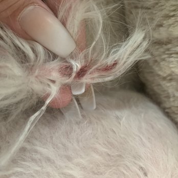 The Healthy Bone - Blood where she was cut at the tip of her tail - Dog Walkers Near Me - Erie, Colorado The Healthy Bone - Blood where she was cut at the tip of her tail - Dog Walkers Near Me - Erie, Colorado