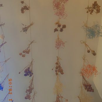 Prince Tea House - Ceiling decor - Desserts Near Me - Brooklyn, New York Prince Tea House - Ceiling decor - Desserts Near Me - Brooklyn, New York
