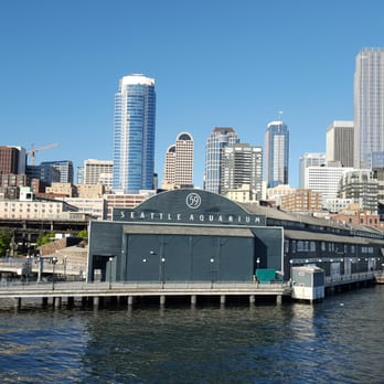 Seattle Aquarium - Seattle Aquarium. - Aquariums Near Me - Seattle, Washington Seattle Aquarium - Seattle Aquarium. - Aquariums Near Me - Seattle, Washington