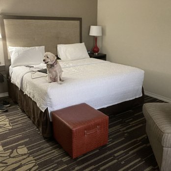 Hampton Inn & Suites Ardmore - Hotels Near Me - Ardmore, Oklahoma Hampton Inn & Suites Ardmore - Hotels Near Me - Ardmore, Oklahoma