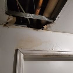 Relion Restoration & Construction - A small drip can create Mold damage very quickly! Mold growth can start after 24 hours.