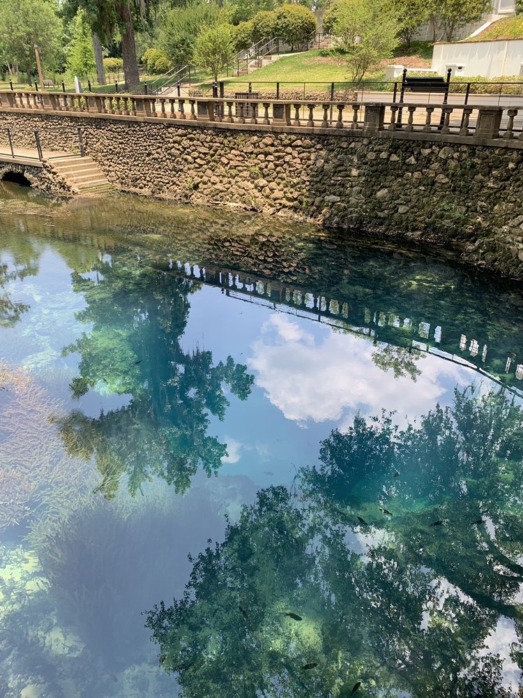 RADIUM SPRINGS GARDEN 25 Photos 25012549 Radium Springs Rd, Albany