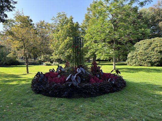 Halifax Public Gardens by null