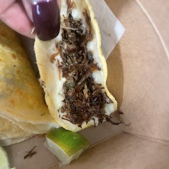 OAKLAND STREET FOOD CO - Updated December 2025 - 337 Photos & 283