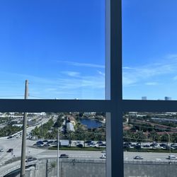 Oum Lymphatic - The view is everything
