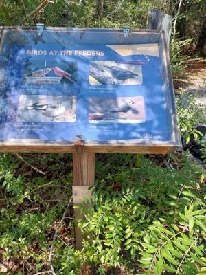 Pascagoula River Audubon Center by null