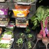 Betterhealth Market of Plymouth gift card