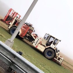 Reid Sod Farm