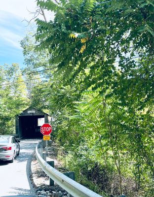 Historic Bulls Covered Bridge by null