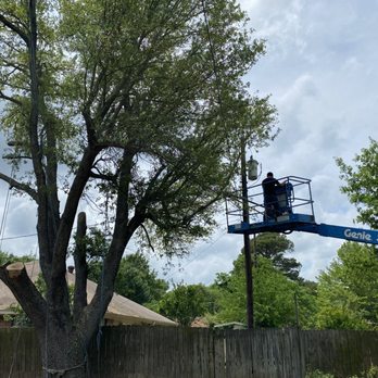 Green Crest Timber - Tree Services Near Me - Kaufman, Texas Green Crest Timber - Tree Services Near Me - Kaufman, Texas