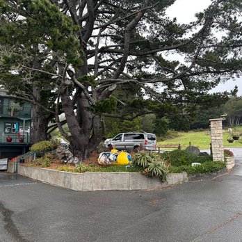 Black Sands Bistro - The parking lot and trees out front - Breakfast & Brunch Near Me - Whitethorn, California