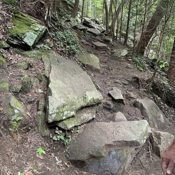 Foster Falls Small Wild Area - What we walked to get down to the waterfall. - Hiking Near Me - Sequatchie, Tennessee