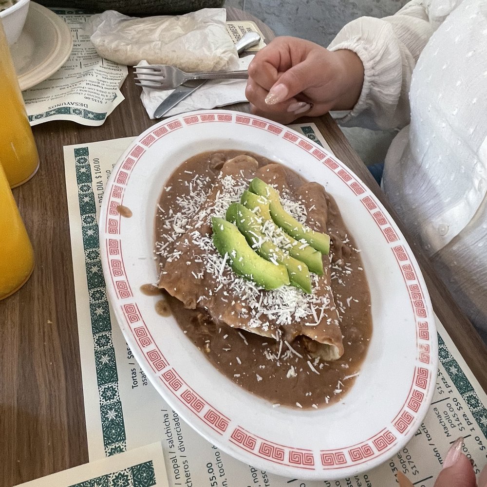 Plato de Oro - Enfrijoladas - Mexican Near Me - Tijuana, BCN Plato de Oro - Enfrijoladas - Mexican Near Me - Tijuana, BCN