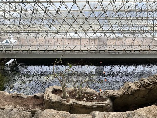 Biosphere 2 by null