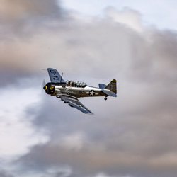 Heritage Flight Museum - T-6 Texan "Hog Wild Gunner"