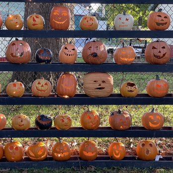 Scovill Children's Zoo - Pumpkin greeters! - Zoos Near Me - Decatur, Illinois Scovill Children's Zoo - Pumpkin greeters! - Zoos Near Me - Decatur, Illinois