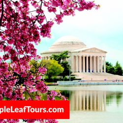 Maple Leaf Tours