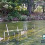 Photo of 1000 Islands Kayaking