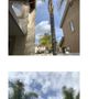Photo of Tree Root Solutions