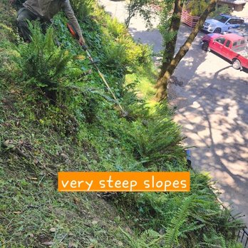 Dominion Brush Clearing - Lawn Services Near Me Dominion Brush Clearing - Lawn Services Near Me