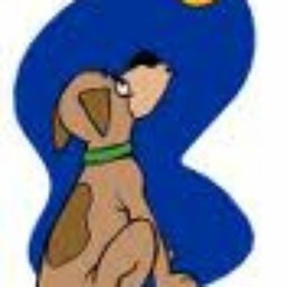 A Dog's Dream Rescue A Dog's Dream Rescue