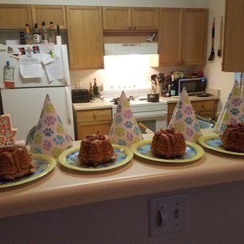Delicious Designs - Here are some photos of the dog cakes from Delicious Designs! - Bakeries Near Me - Reno, Nevada