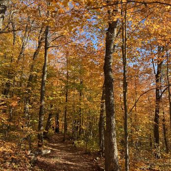 Oberg Mountain Trail - Hiking Near Me - Tofte, Minnesota